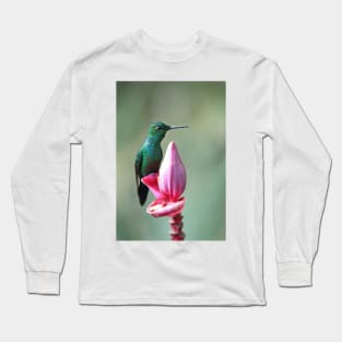 Green-Crowned Brilliant Hummingbird - Costa Rica Long Sleeve T-Shirt